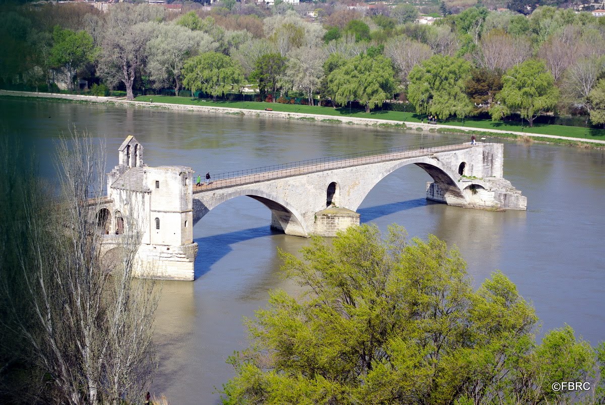 pont d'avignon.JPG